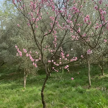 Tenuta Urbano Country house *